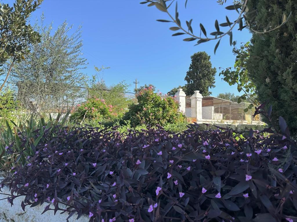 Masseria Strada Agriturismo Ginosa Kültér fotó