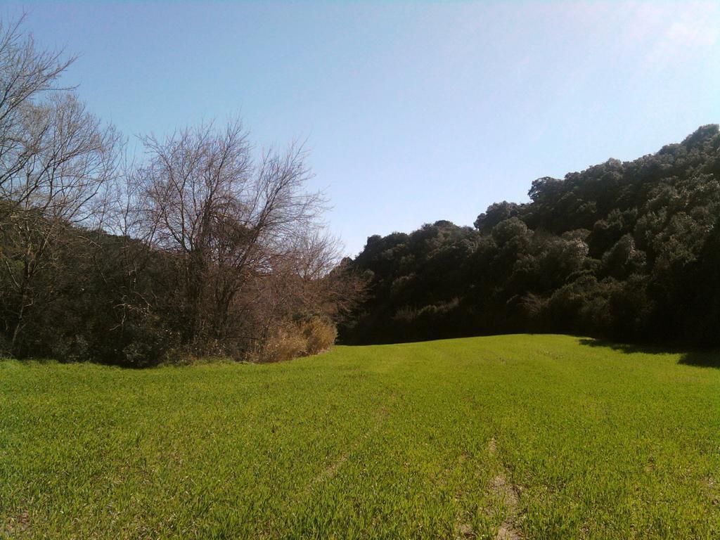 Masseria Strada Agriturismo Ginosa Kültér fotó